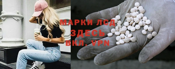 прущая мука Вяземский