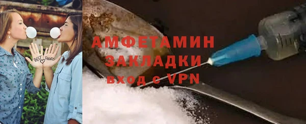 прущая мука Вяземский