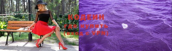 прущая мука Вяземский