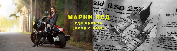 прущая мука Вяземский