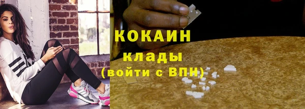 прущая мука Вяземский